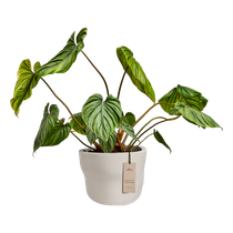 mura 40cm linen white
